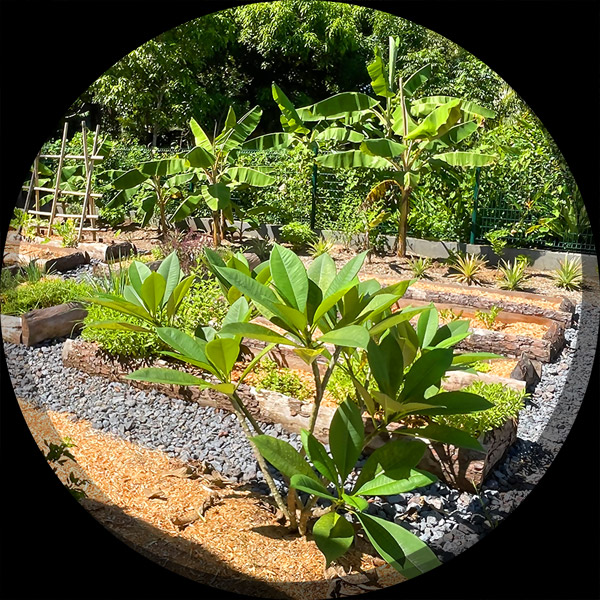 Jardin Potager